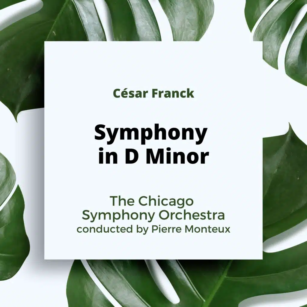 Symphony in D Minor: III. Allegro non troppo