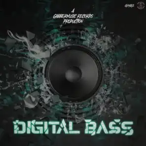 Story About Bass