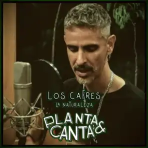 Planta & Canta & Los Cafres