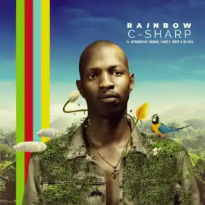 Rainbow (Radio Edit)