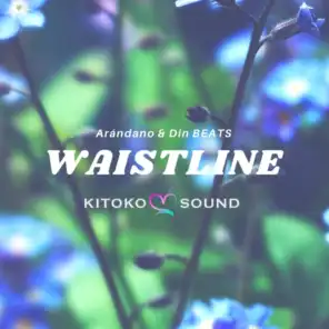 Waistline (feat. Arándano & Din Beats)