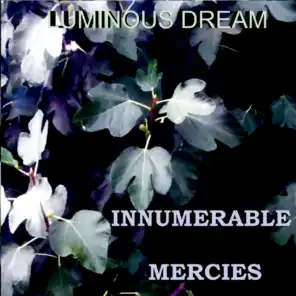 Innumerable Mercies