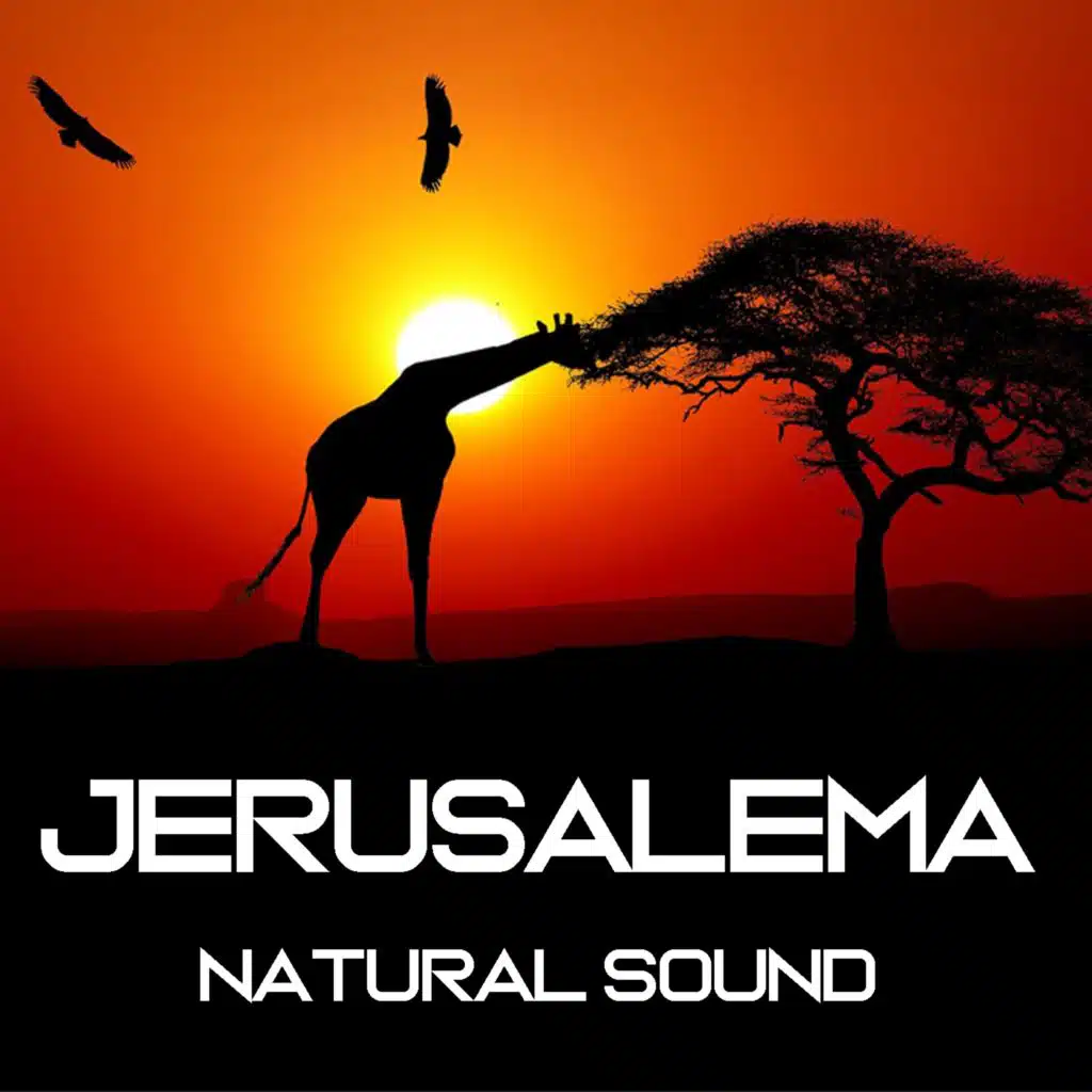 Jerusalema (Relax Version)