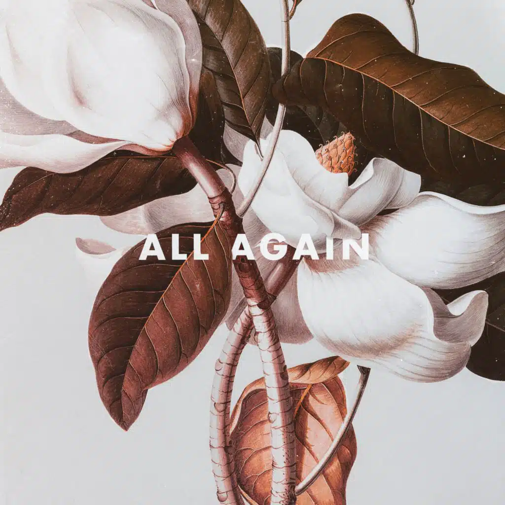 KRANE & Boombox Cartel