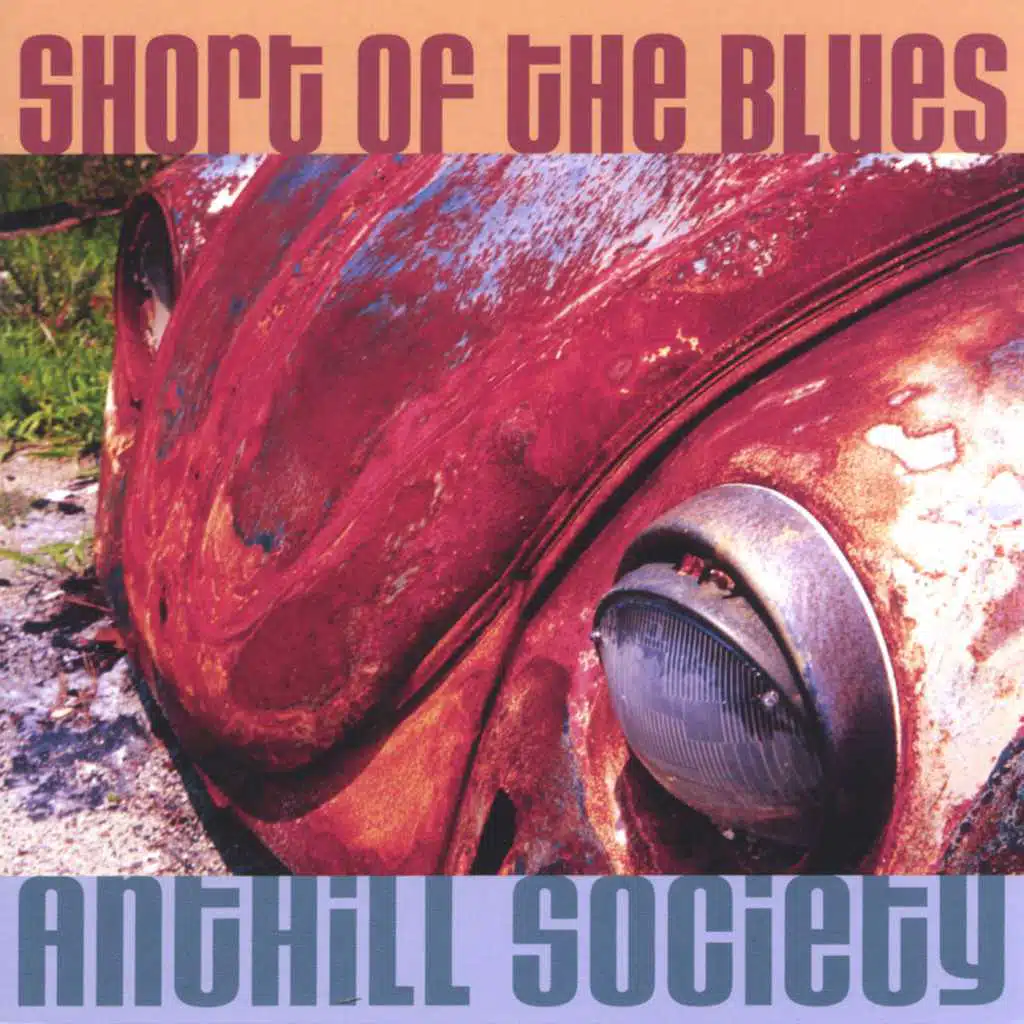 AntHill Society