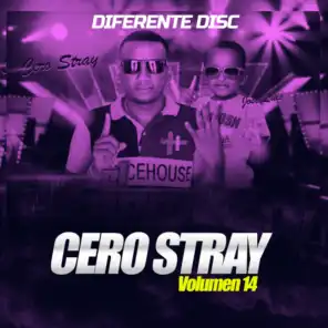 Cero Stray (Volumen 14)