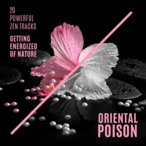 20 Powerful Zen Tracks (Getting Energized of Nature, Oriental Poison)