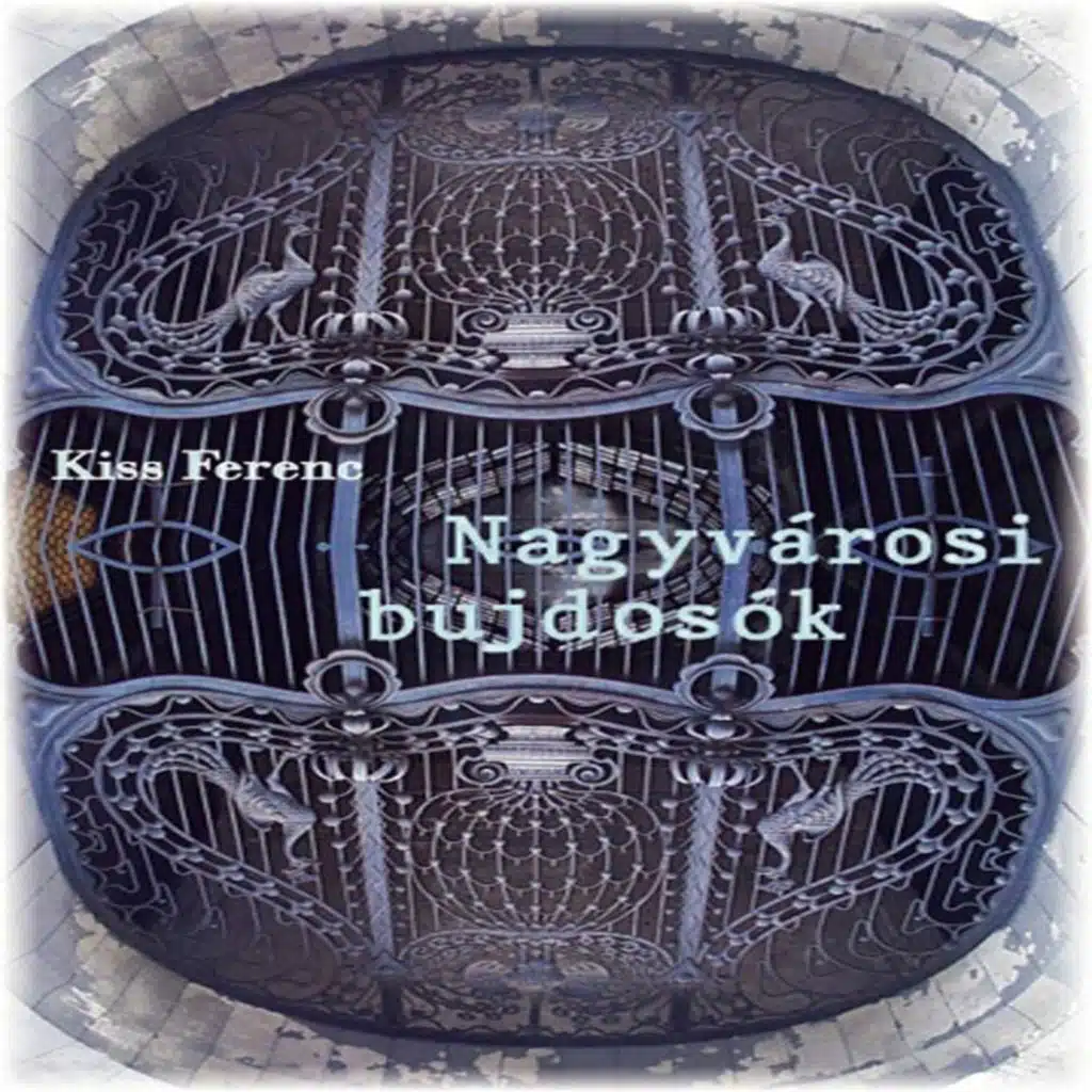 Nagyvárosi Bujdosók (Outlaws Of The City)