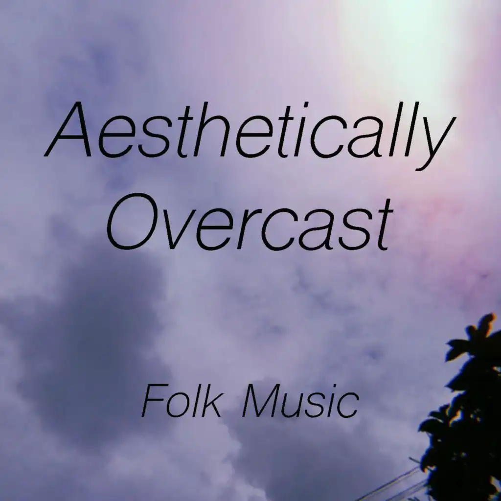 Aesthetically Overcast Folk Music