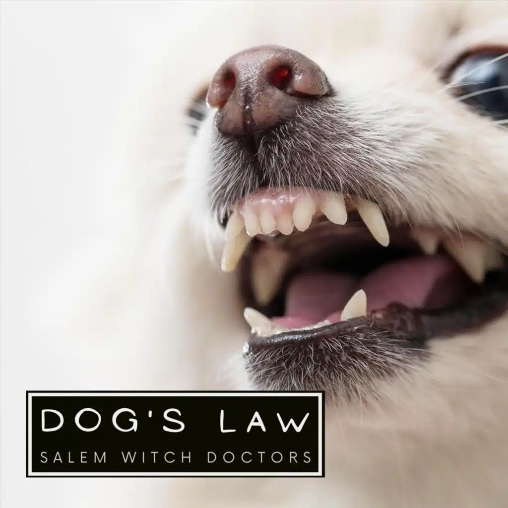 Dog's Law