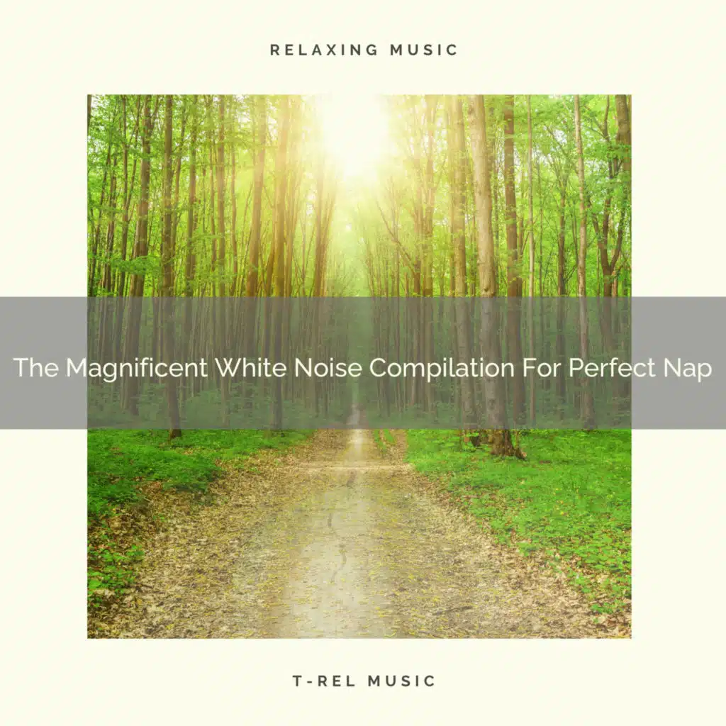 The Magnificent White Noise Compilation For Perfect Nap