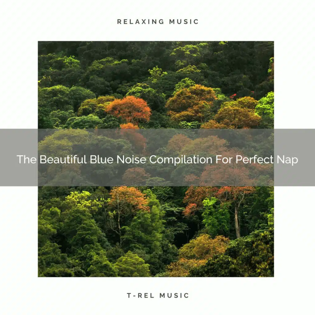 The Beautiful Blue Noise Compilation For Perfect Nap