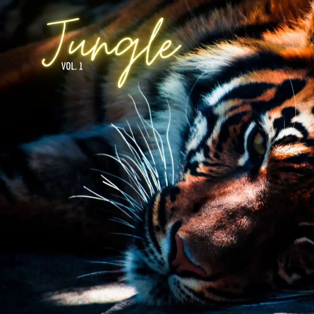 Jungle, vol. 1