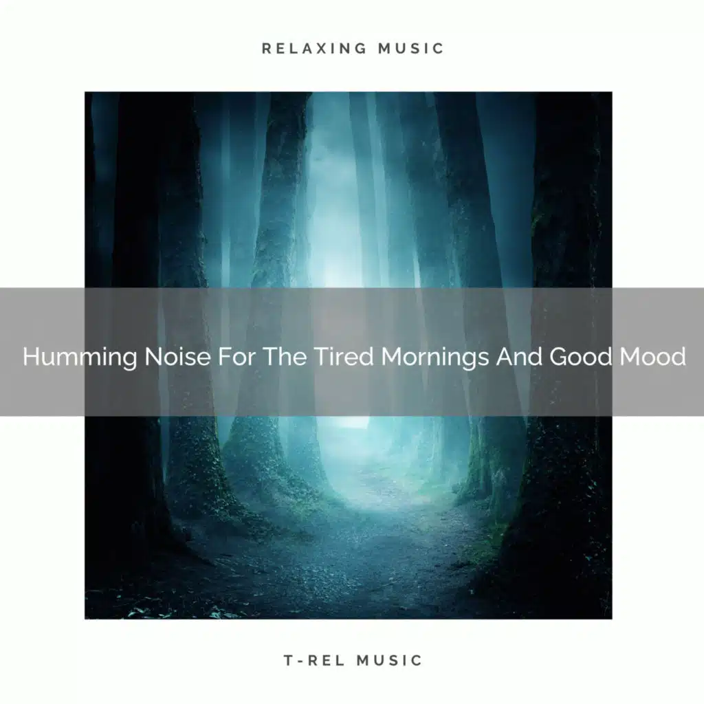 Humming Noise For The Tired Mornings And Good Mood