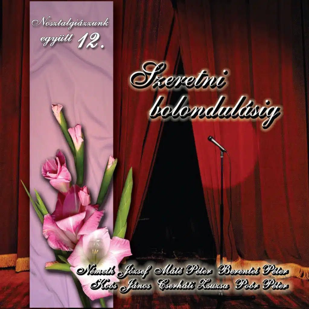 Nosztalgiázzunk Együtt, Vol. 12 (Szeretni Bolondulásig)