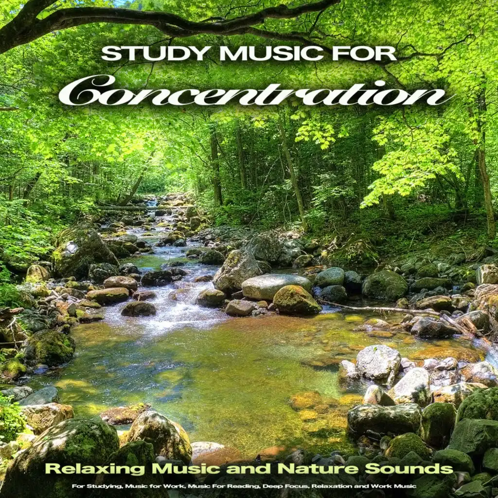 Guitar Study Music For Concentration