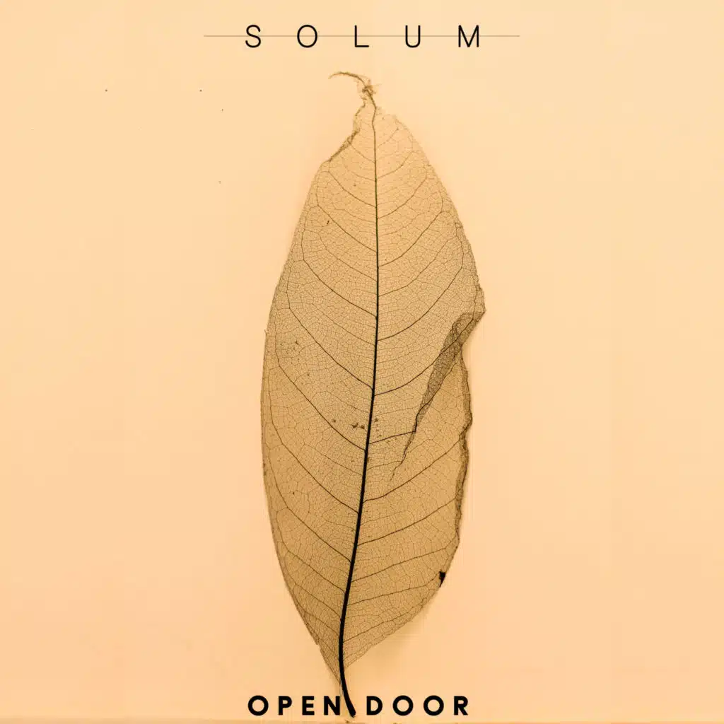 Solum