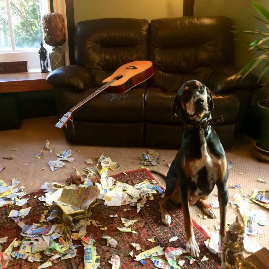 Beginning of an Ending