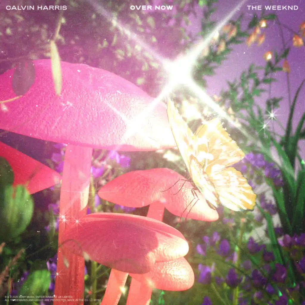 Calvin Harris & The Weeknd