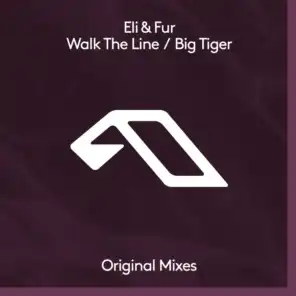 Walk The Line (Extended Mix)