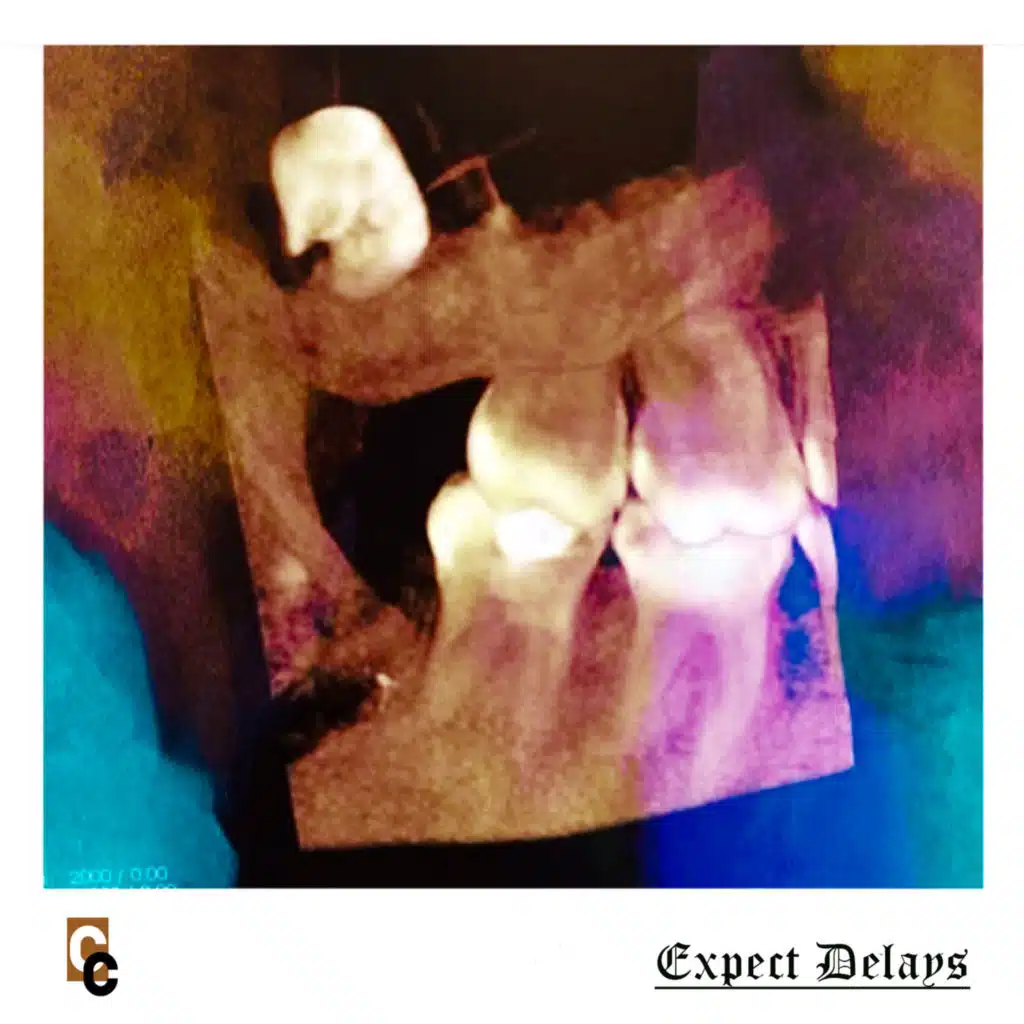 Flowers in My Throat