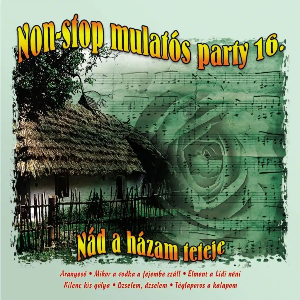 Non-Stop Mulatós Party, Vol. 16 (Nád A Házam Teteje)