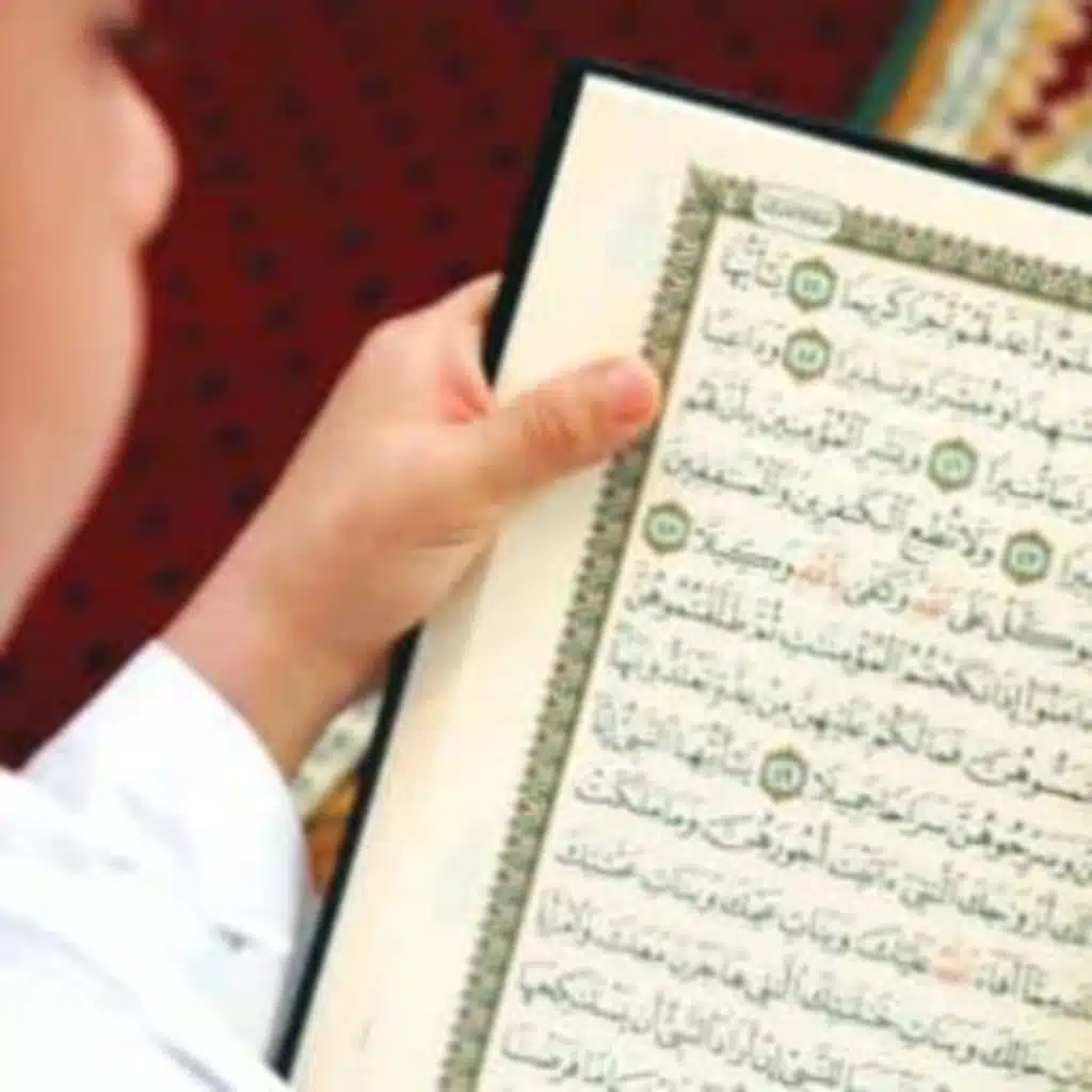 قران كريم بصوت جميل_ان الذين يتلون كتاب الله واقامو الصلاة_ارح قلبك