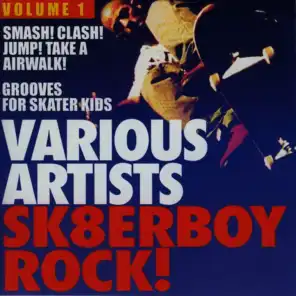 Sk8terboy Rock!, Vol. 1