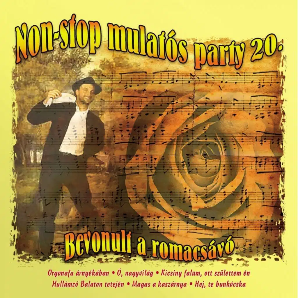 Non-Stop Mulatós Party, Vol. 20 (Bevonult A Romacsávó)