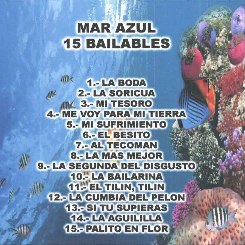 15 Bailables