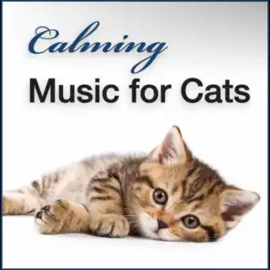 Dawn: Soft Piano Melody and Forest Ambience for Domestic House Cats & Kitties