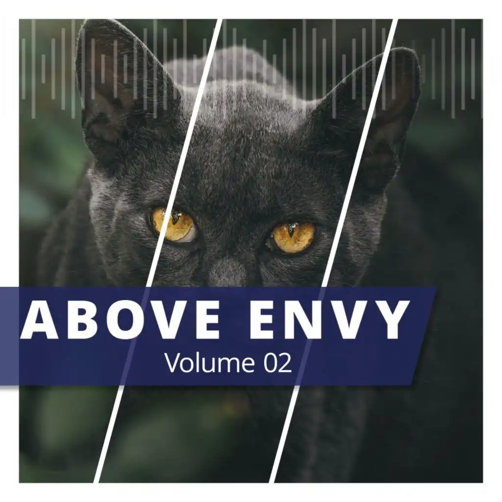 Above Envy, Vol. 2