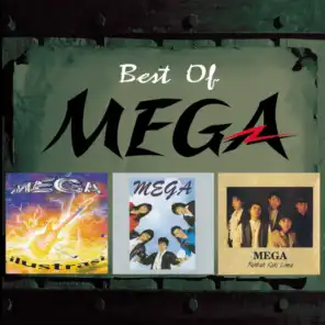 Best Of Mega