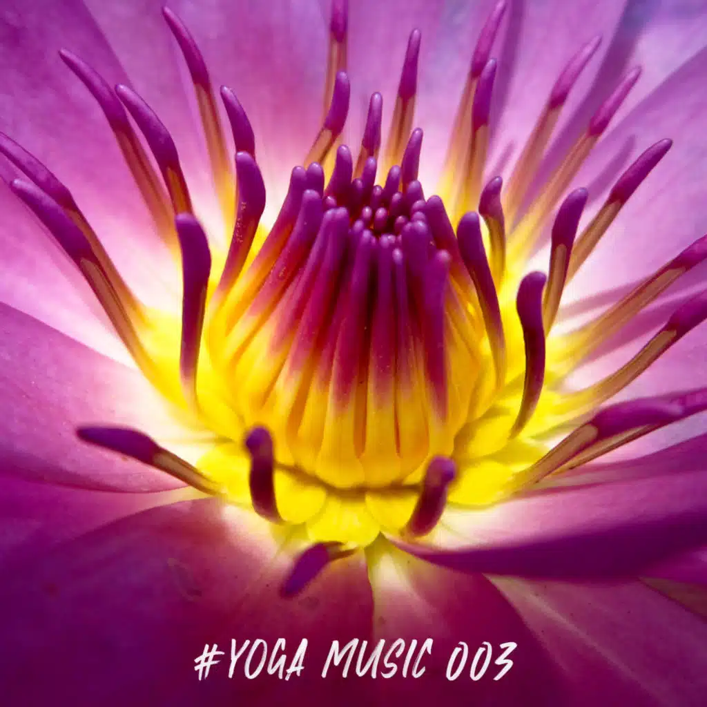 #Yoga Music 003