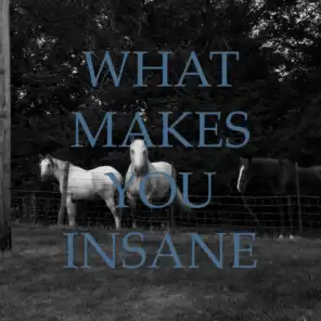 What Makes You Insane