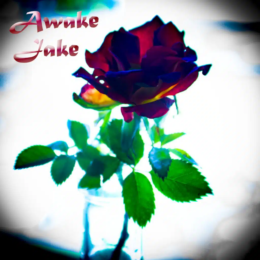 Lie Machine/Falling For You (feat. Ryan Konline)