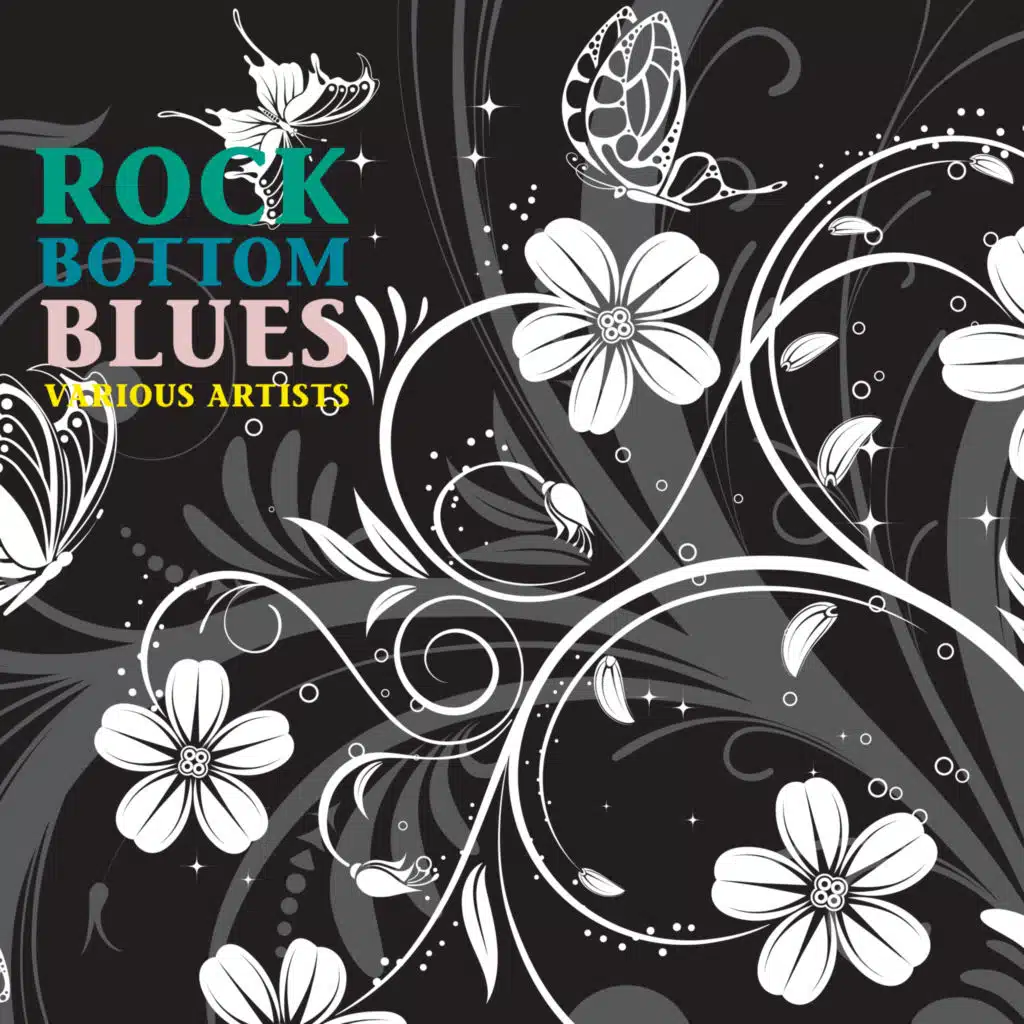 Baby Let Me Bang Your Box