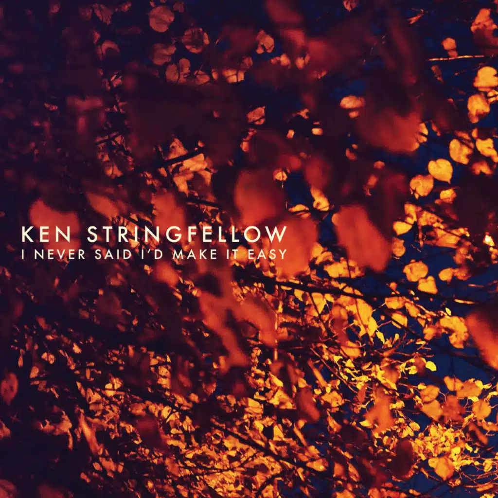 I Never Said I'd Make It Easy A Ken Stringfellow Collection