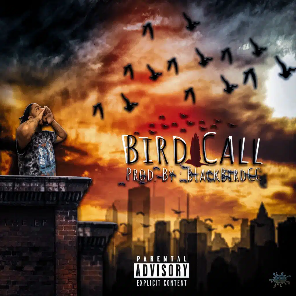 Bird Call