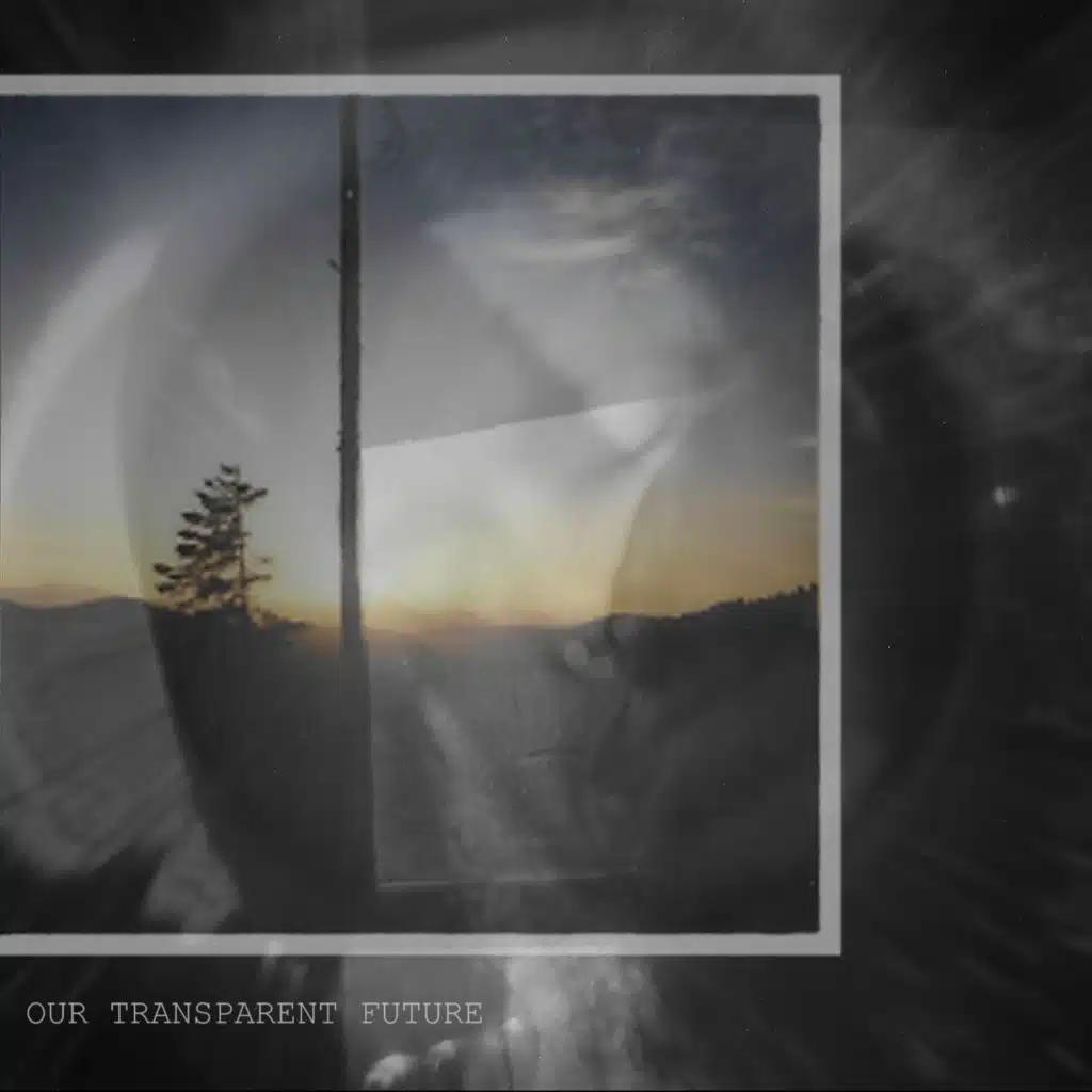 Our Transparent Future
