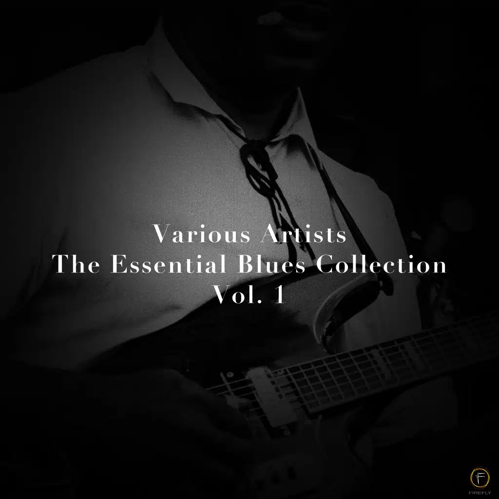 Willie Dixon & The All Stars