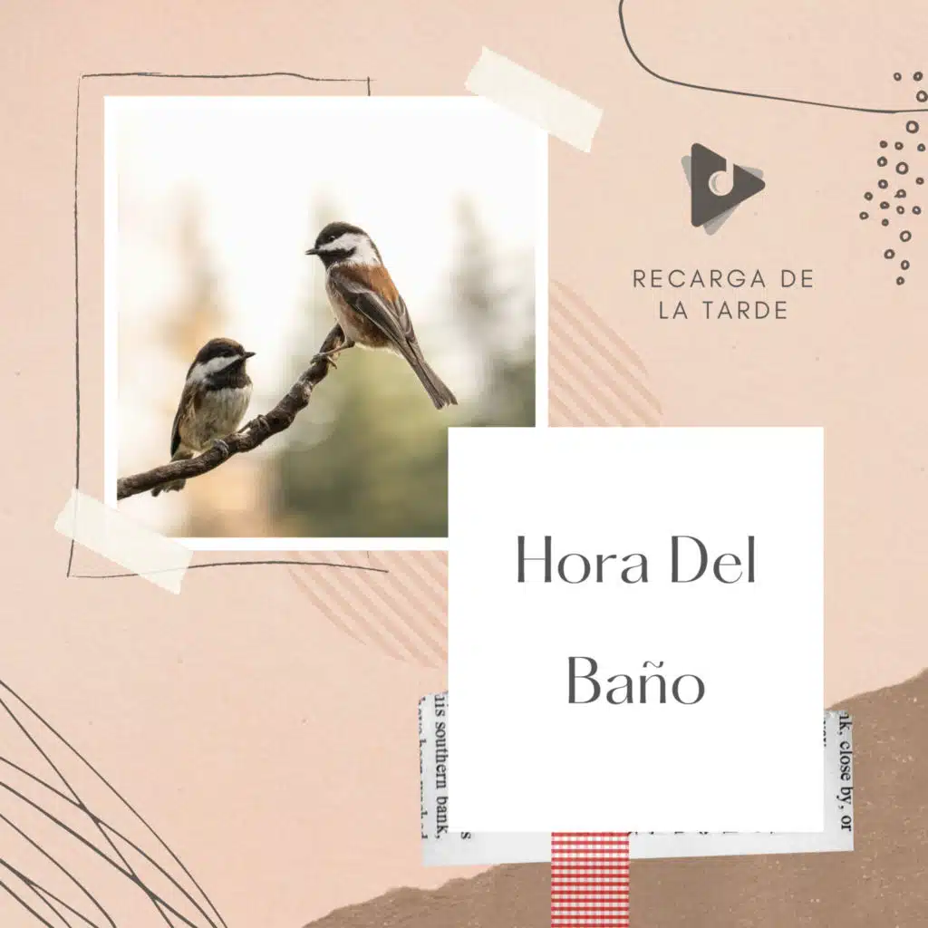 Hora Del Baño