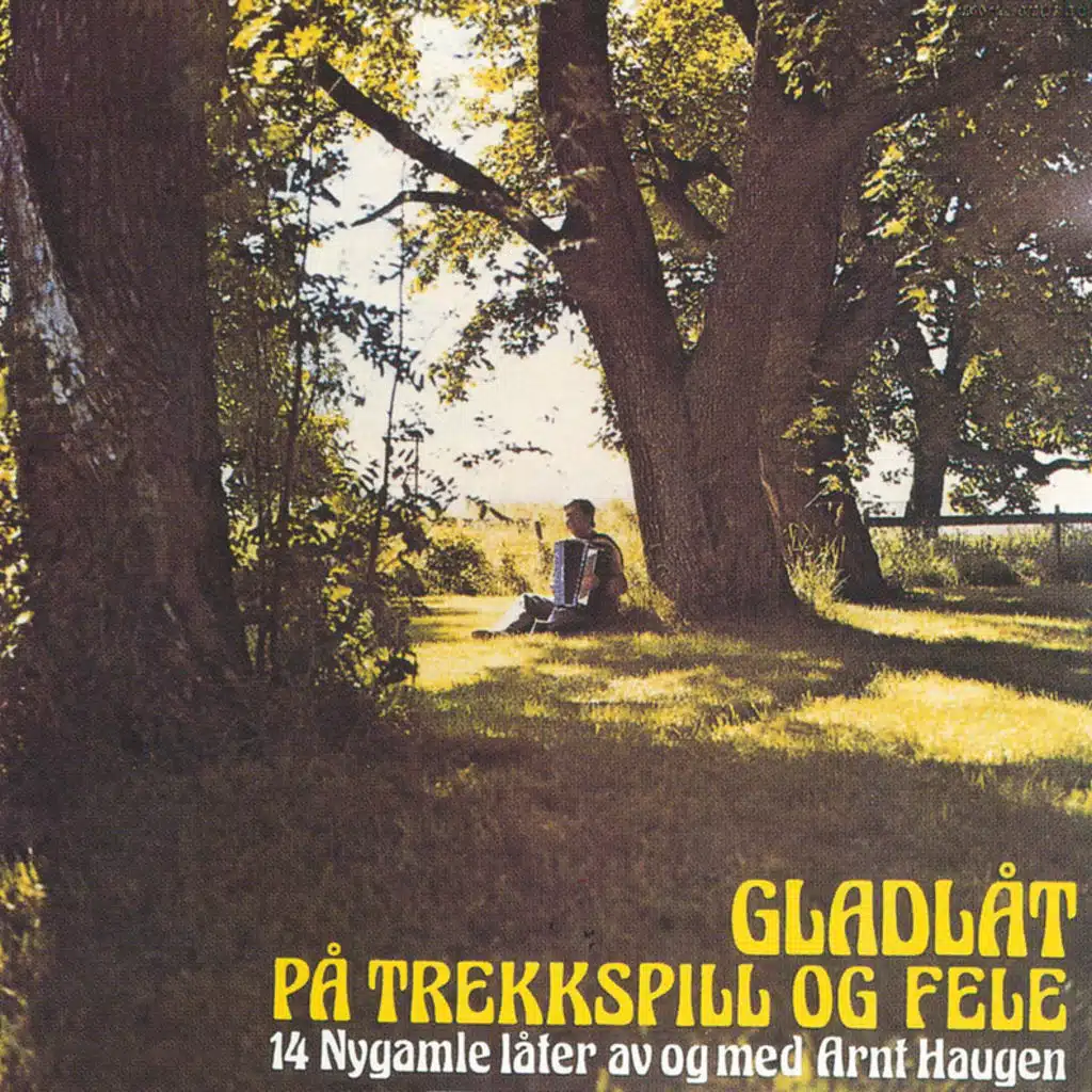 Gladlåt På Trekkspill Og Fele