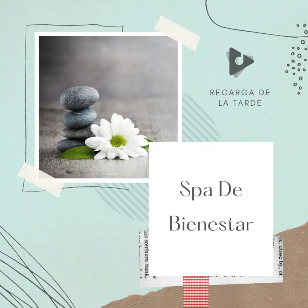 Recarga de la Tarde & Sesiones de Música Relajante