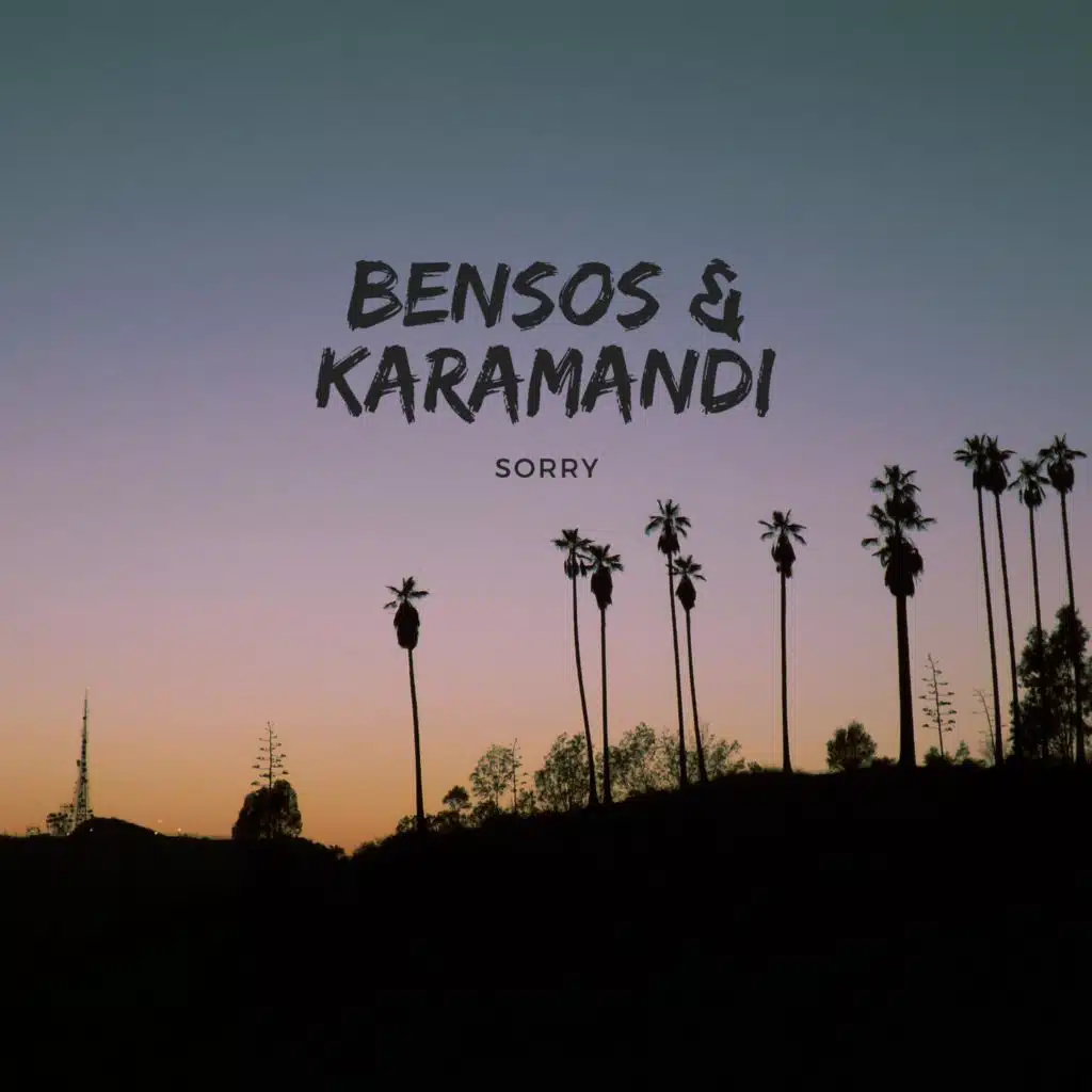 Sorry (feat. Karamandi)