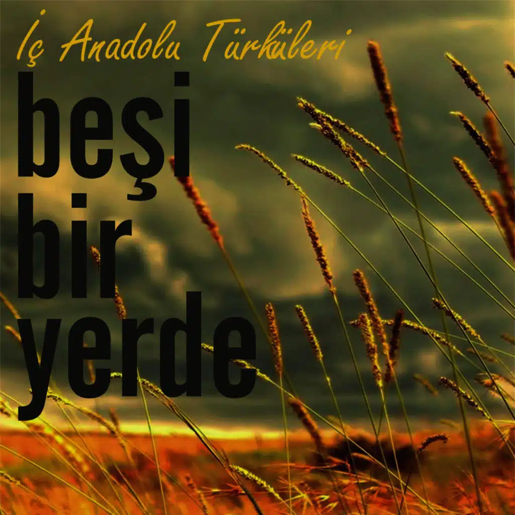 İç Anadolu Türküleri