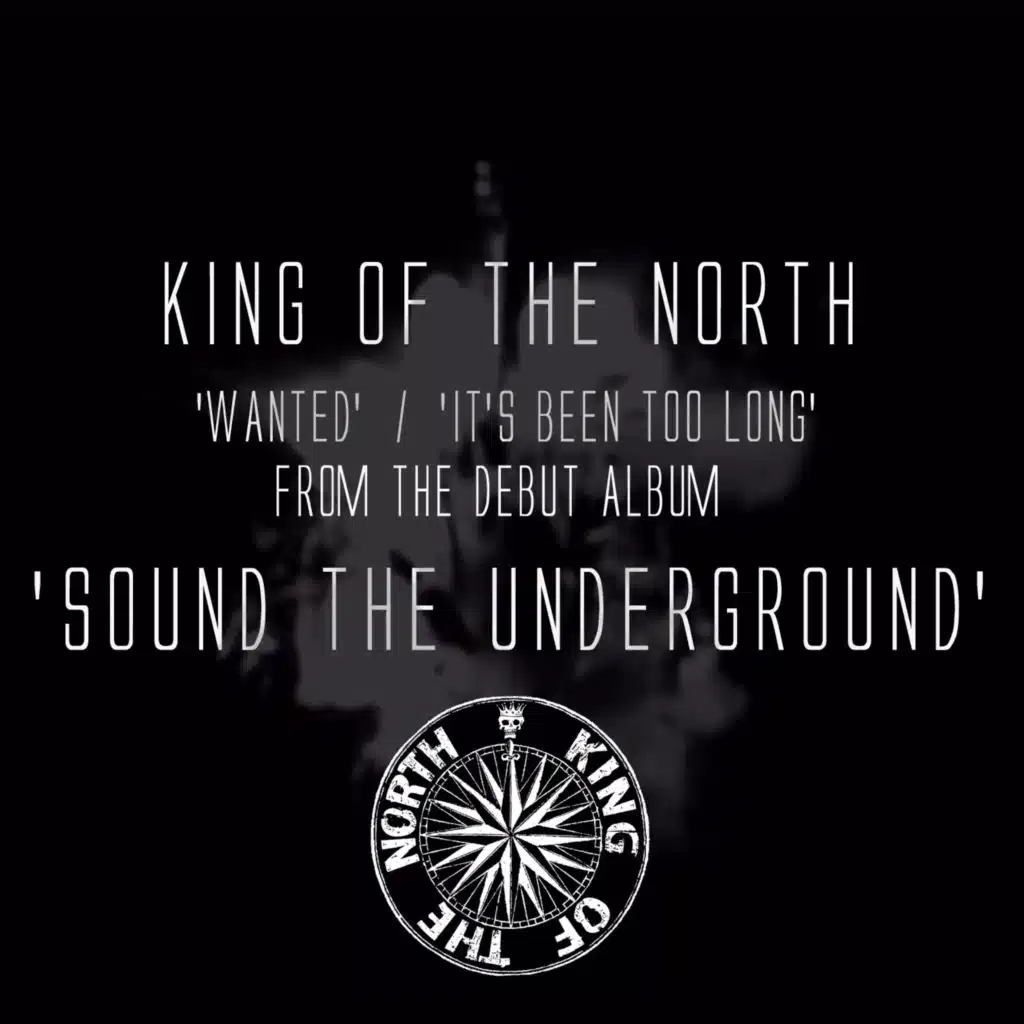 It's Been Too Long / Wanted