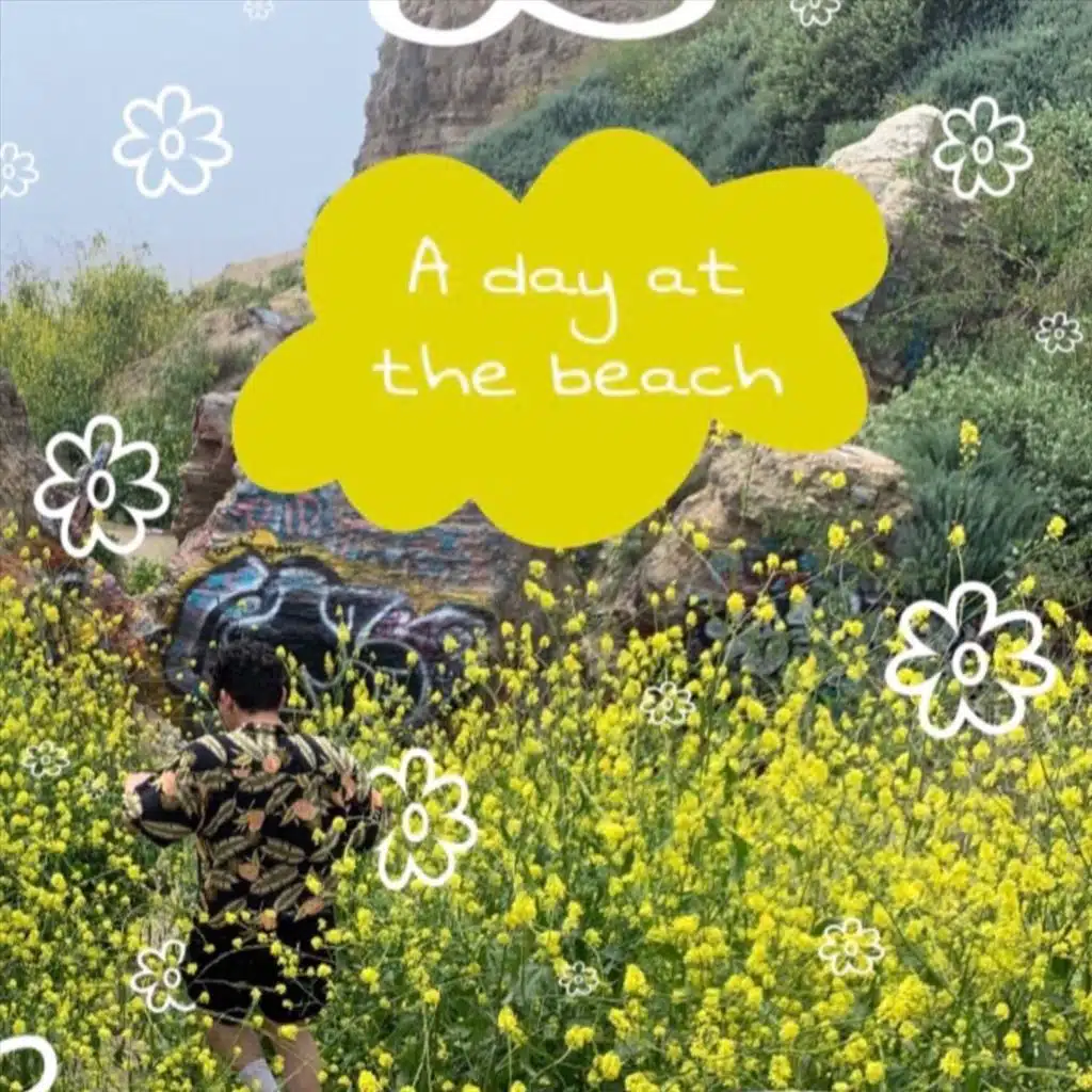 A Day at the Beach