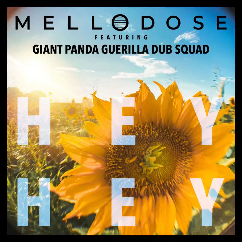 Hey Hey (feat. Giant Panda Guerilla Dub Squad)