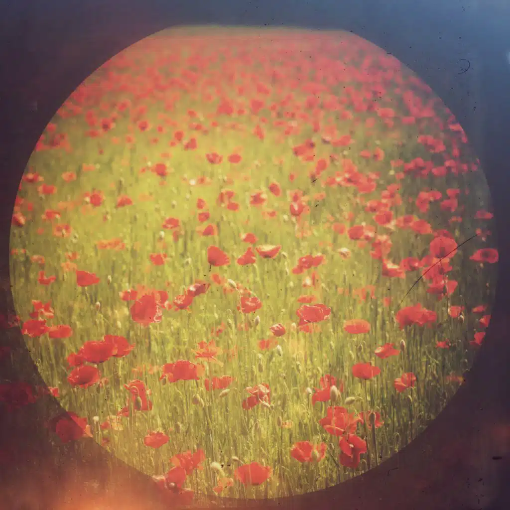 Stockholm Corona Sessions, Vol. 2